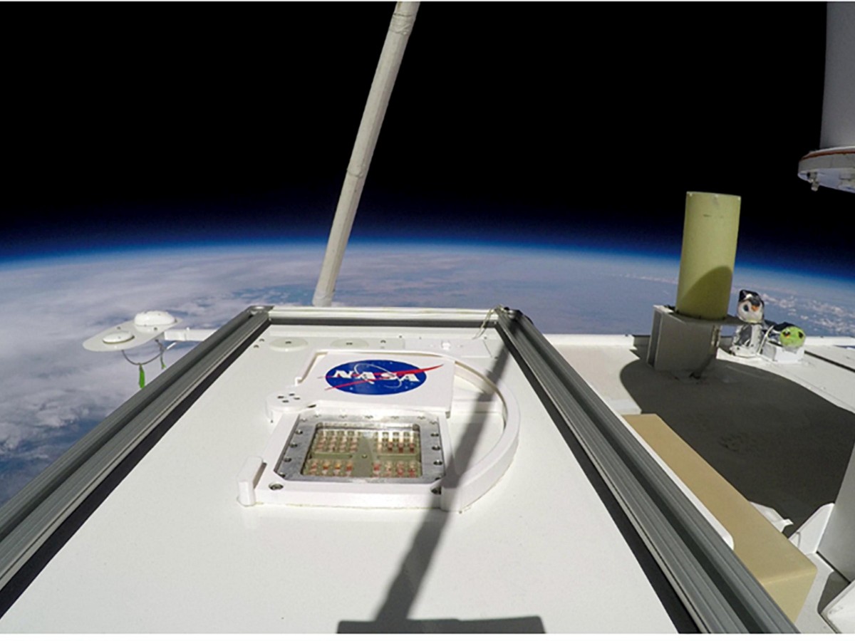 Mars in a BOX – Microbes to survive Martian environment.