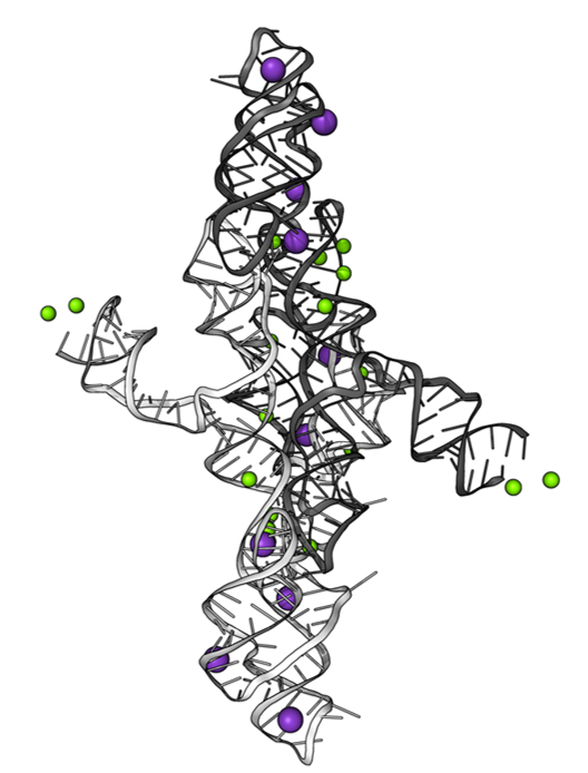 Разрушение патогенов с помощью молекул РНК
