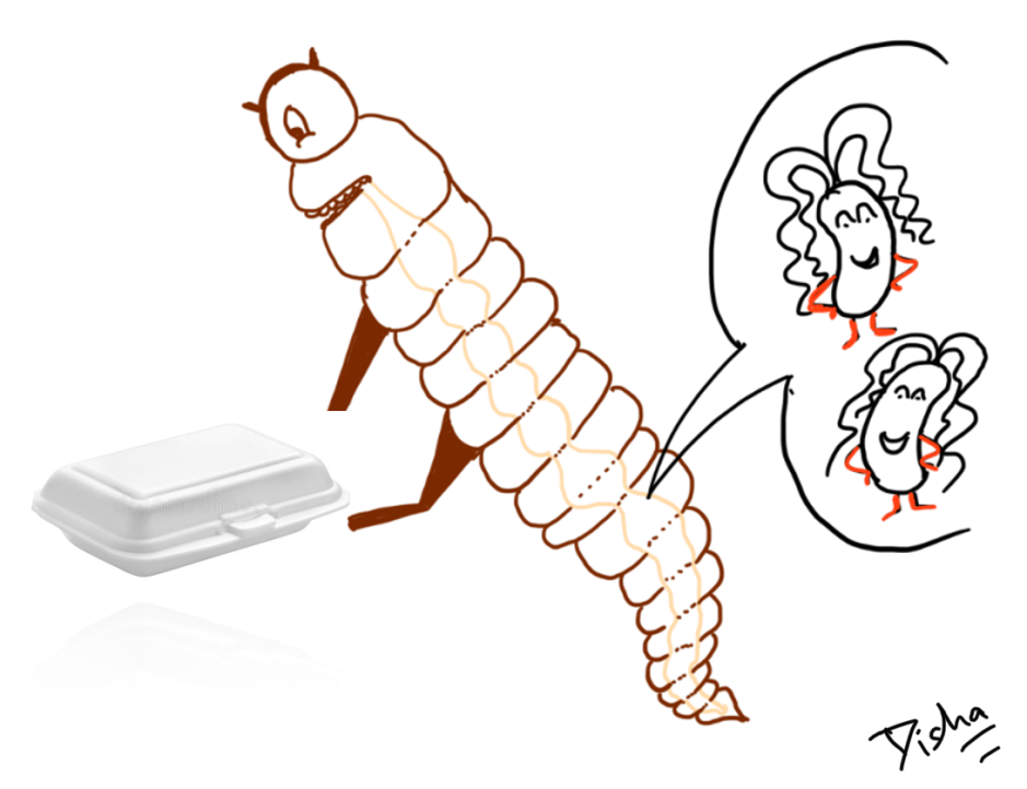 Microben, wormen en plastic