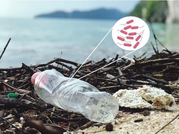 Enzymes degrading plastic – an eco-friendly solution to plastic pollution